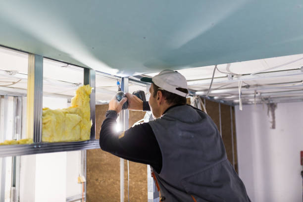 Best Attic Insulation Installation  in Shanor Northvue, PA