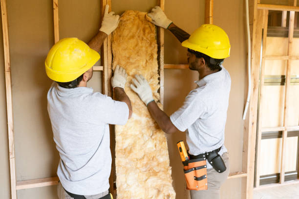 Best Commercial Insulation Services  in Shanor Northvue, PA